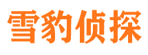 永登市场调查